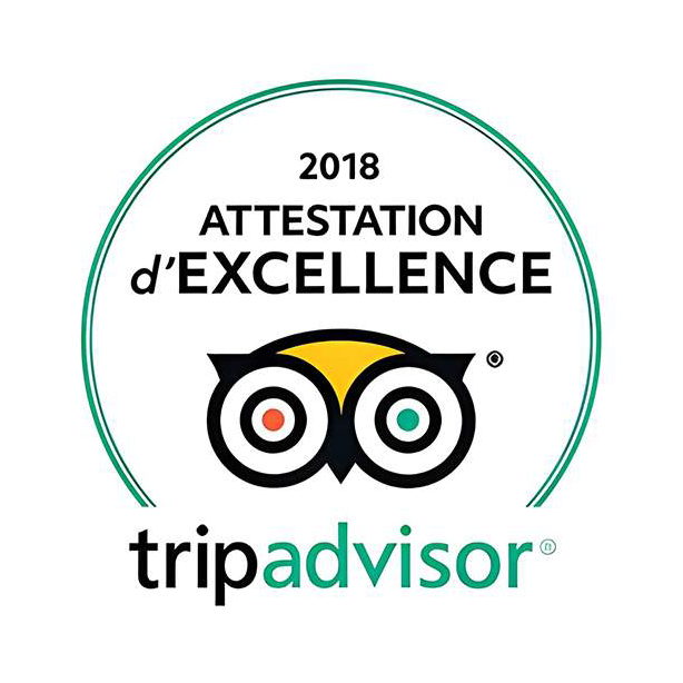 Logo tripadvisor